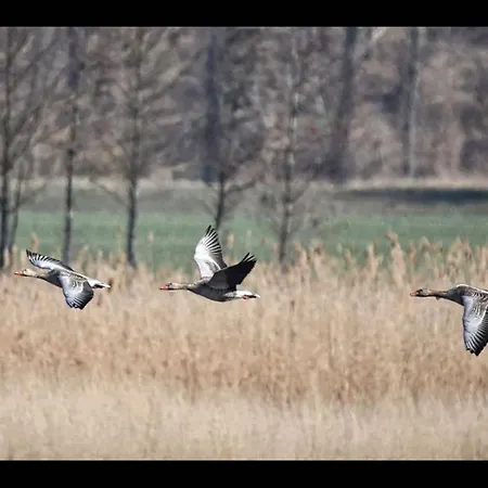 Your In In The Harz Mountains Dom wakacyjny *